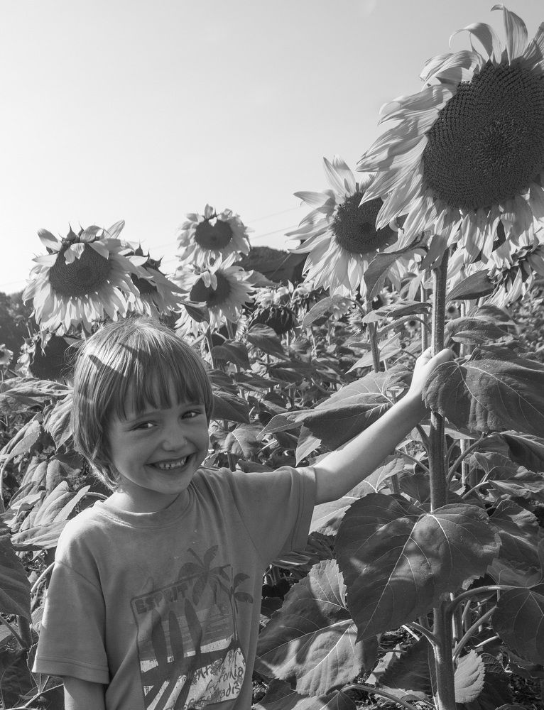 Photograph by Александр Халимов