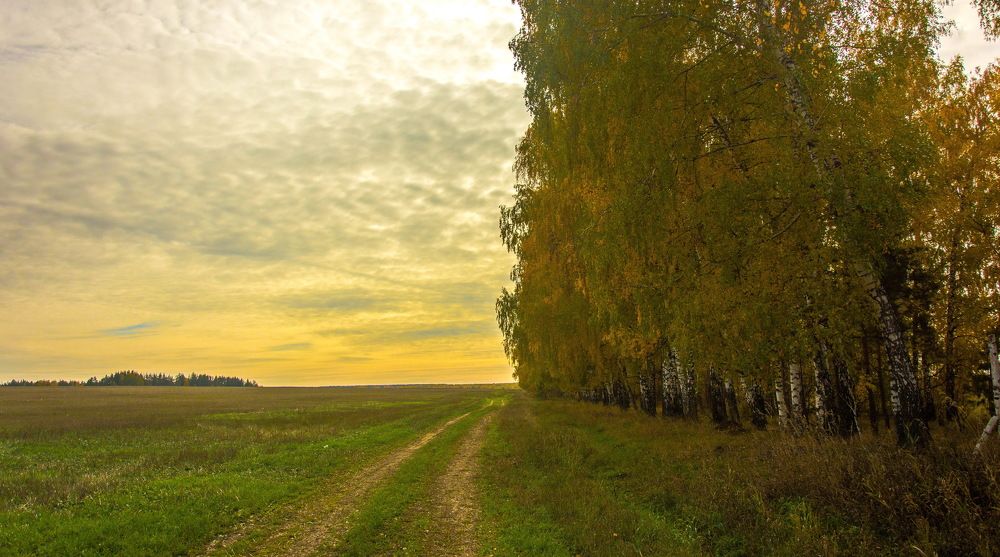 Photograph by Александр Халимов