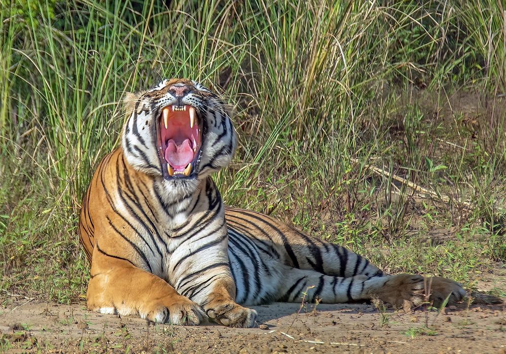 Photograph by Nishith Pursnani