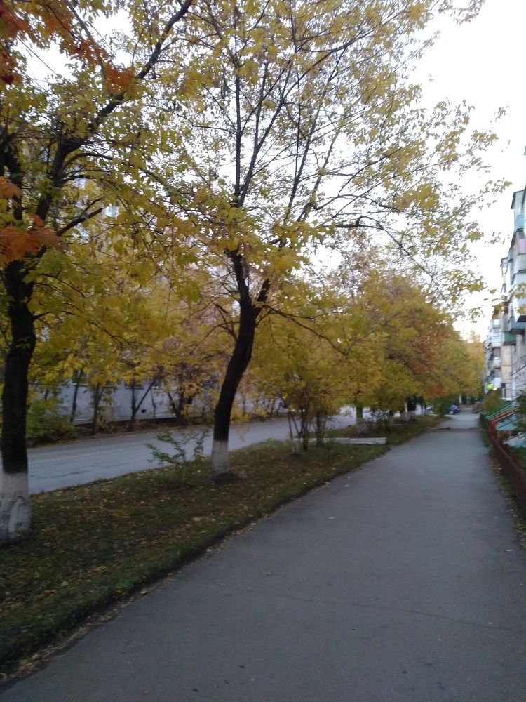 Photograph by Наталья Шулятина