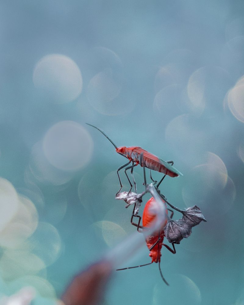 Photograph by Hemraj Chavhan A