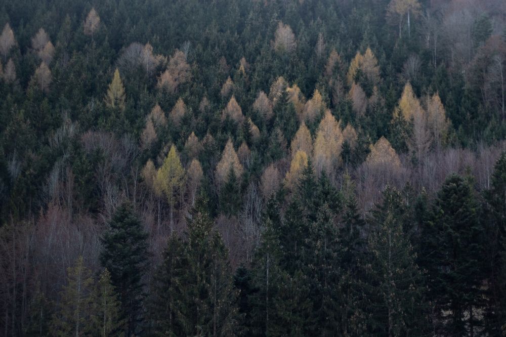 Photograph by Ксения Лаевская