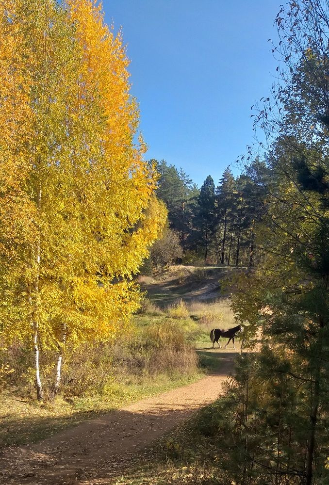 Photograph by Лейсан