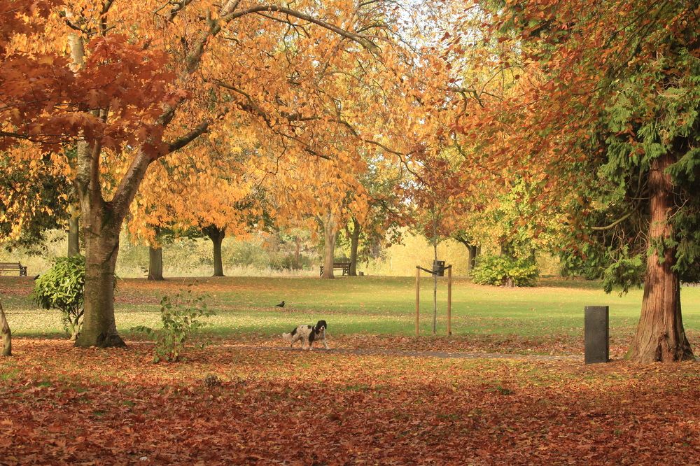 Photograph by Sharad vadoliya