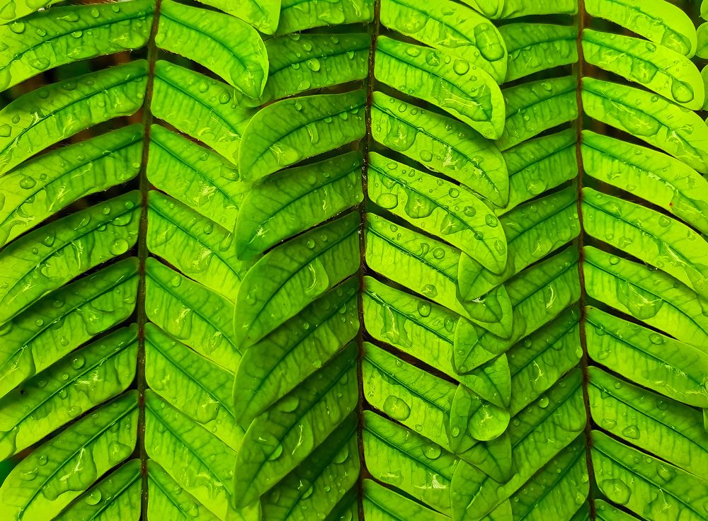 Photograph by Viktória Smid