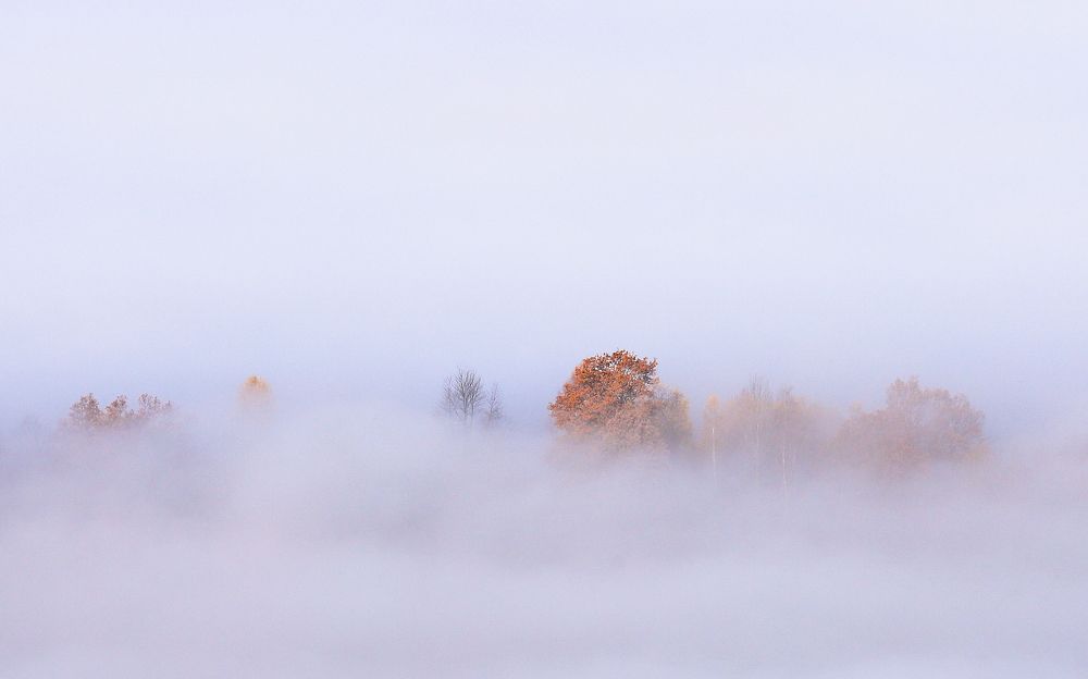 Фотография автора Flegner Calin
