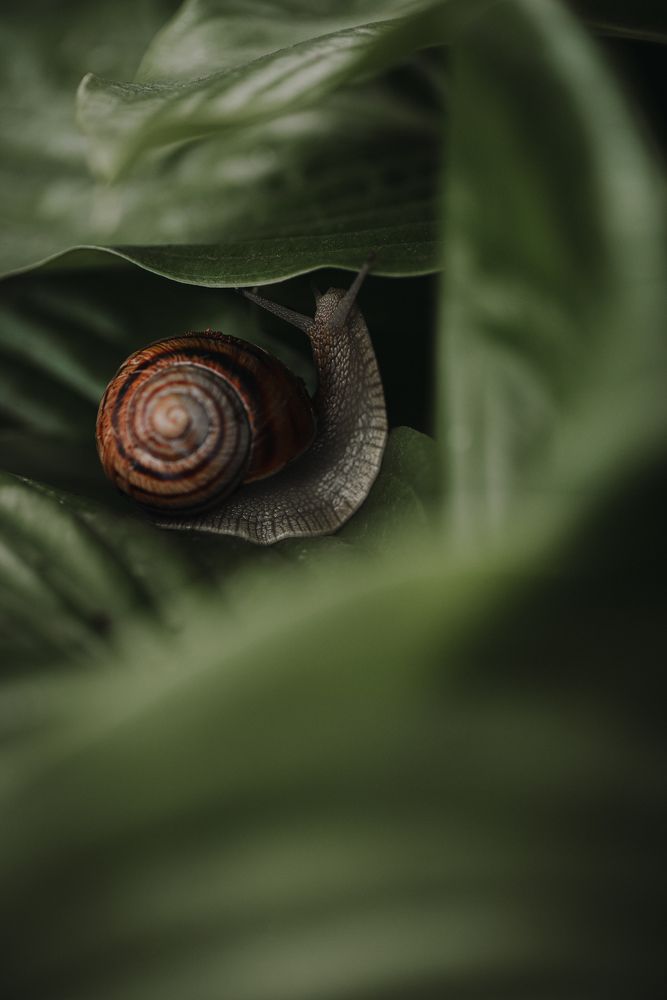 Photograph by Олег Соколов