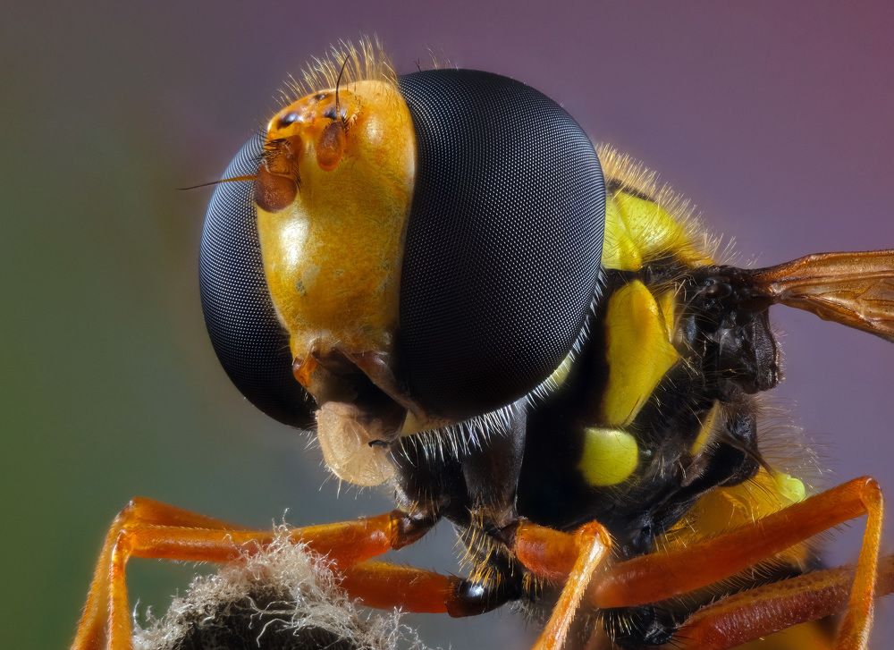 Photograph by Юрьевич Юрий