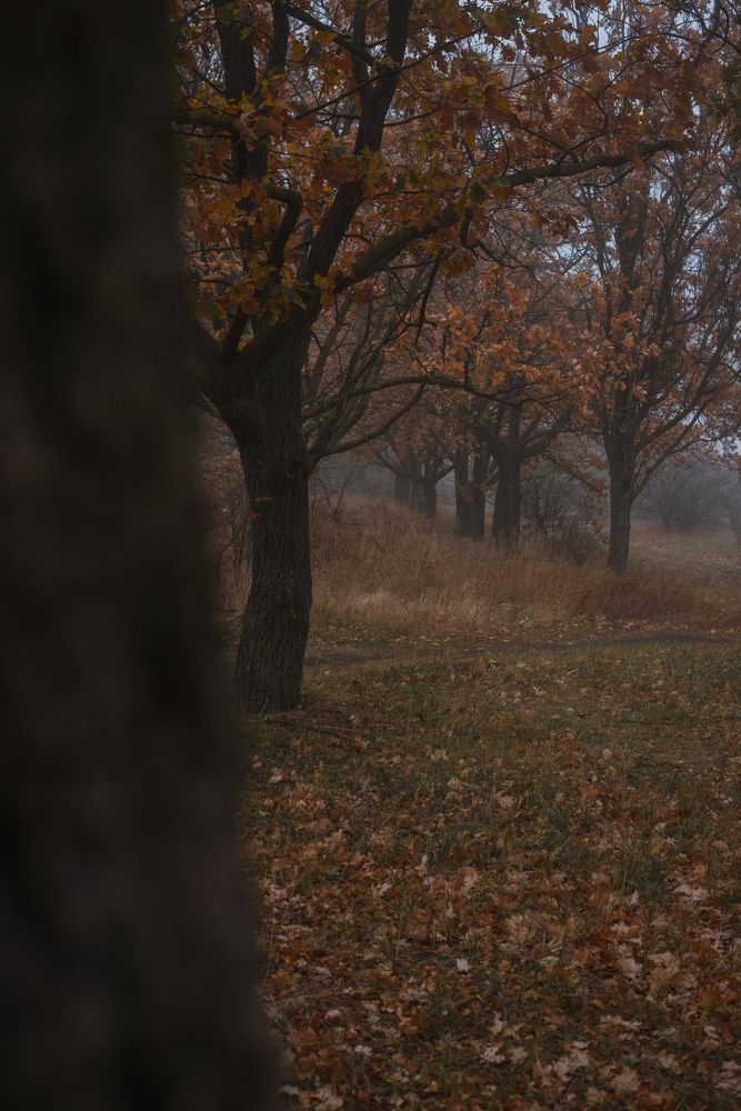 Photograph by Олег Соколов