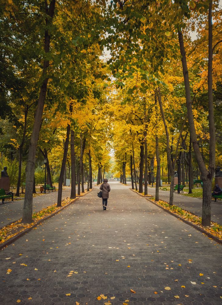 a walk in the autumn park