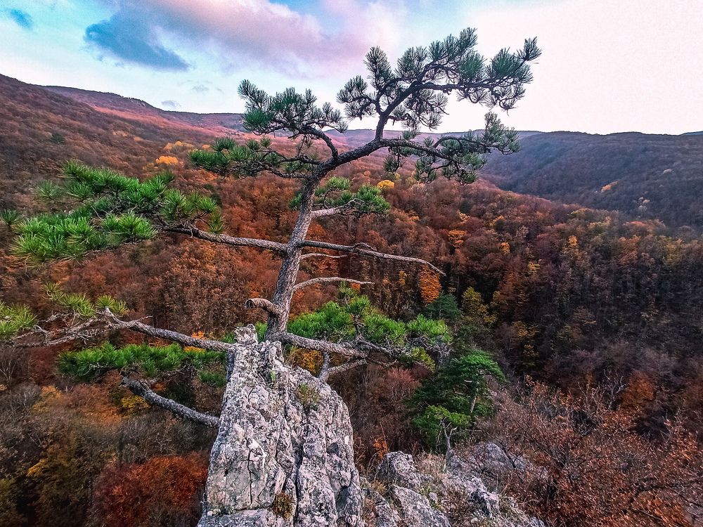 Photograph by Анна