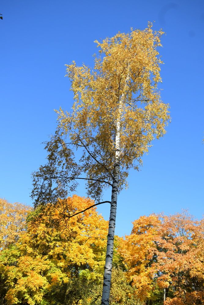 Photograph by Татьяна Крахина