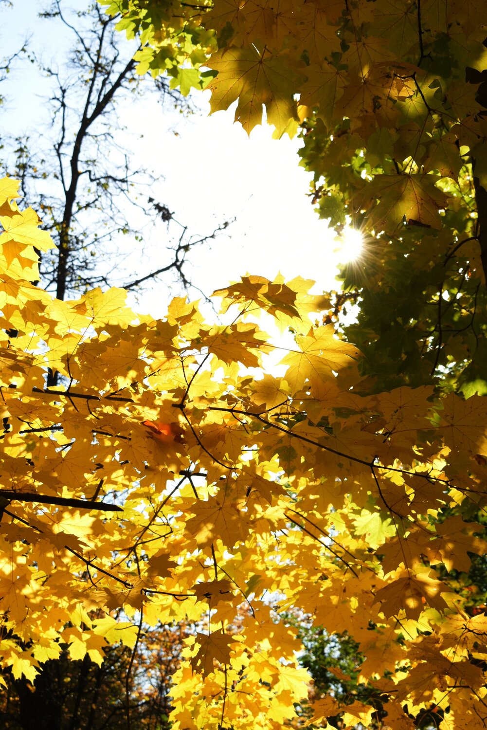 Photo #6670021