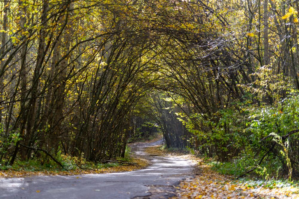 Photograph by Андрей Востриков