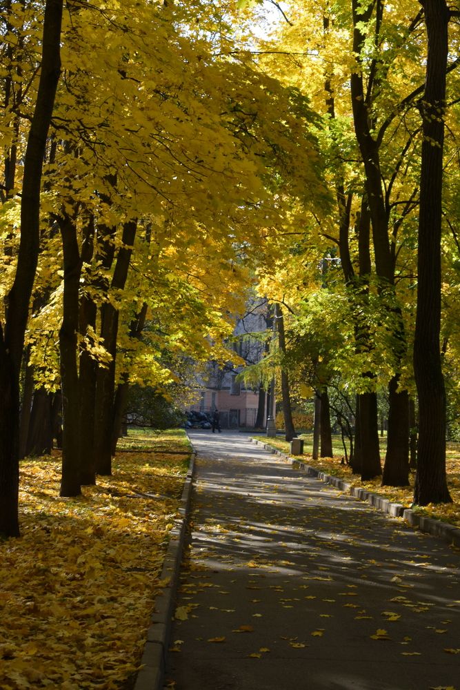 Photograph by Татьяна Крахина