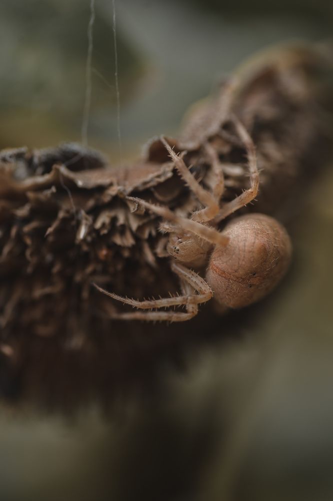 Photograph by Олег Соколов