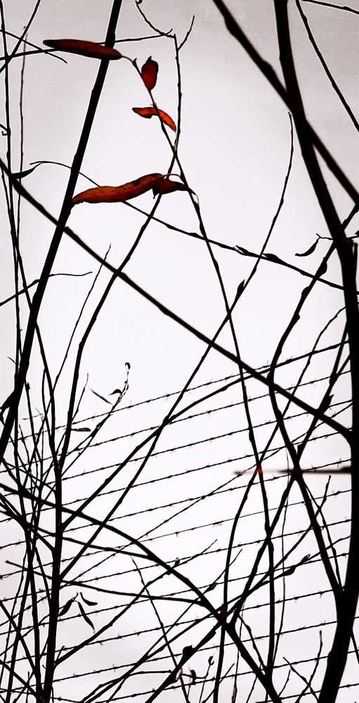 Photograph by Татьяна Ковалева