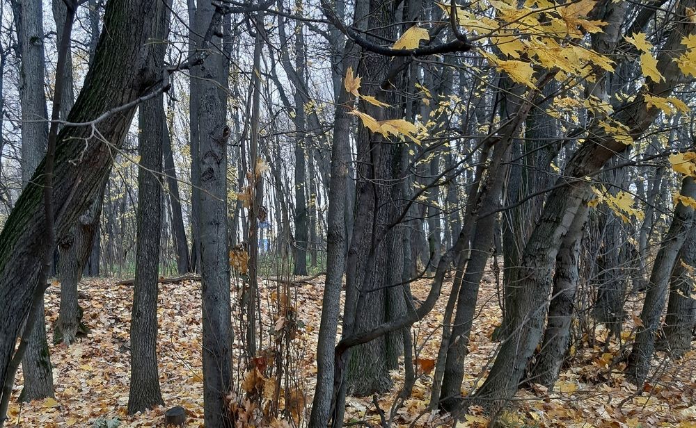 Photograph by Александр Юрьевич Зуев