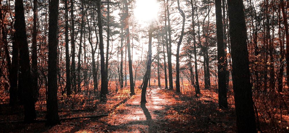 Фотография автора Дмитрий Нефёдов