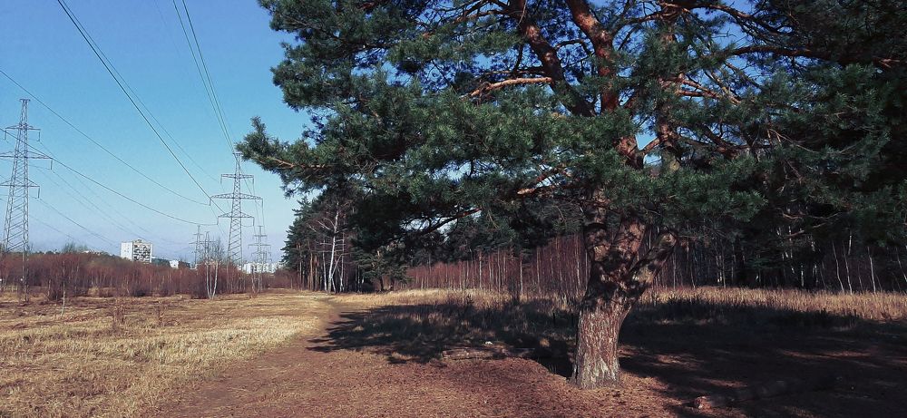 Фотография автора Дмитрий Нефёдов