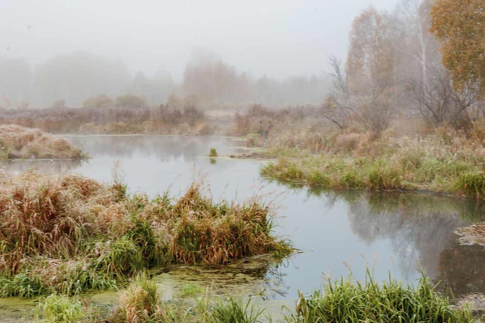 Photograph by Сергей Киселев