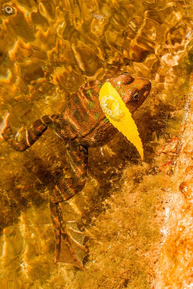 Photograph by Galina Kudinova