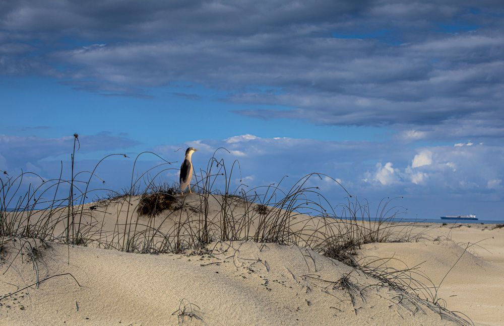 Photograph by Leonid Lan