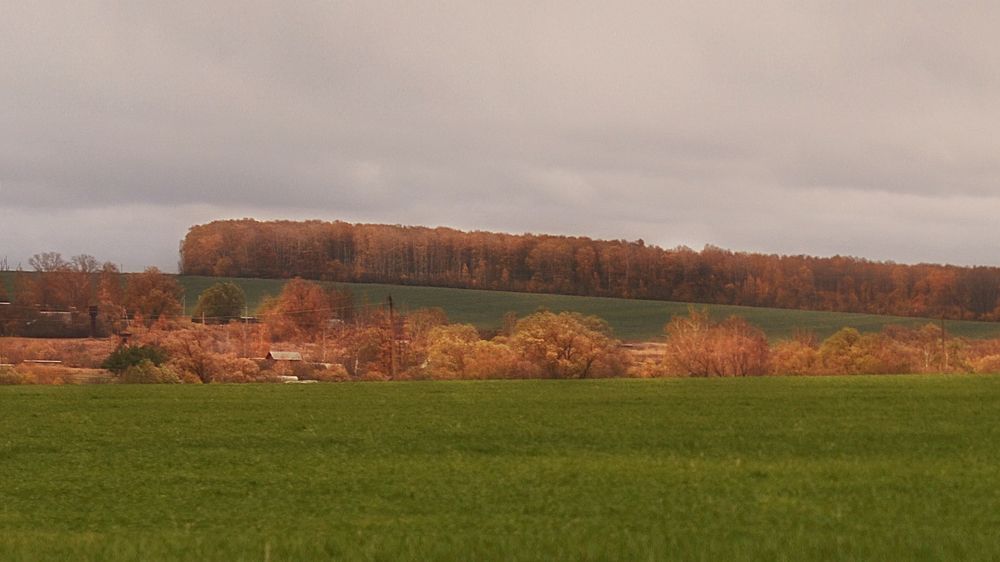 Photograph by Екатерина Карпова