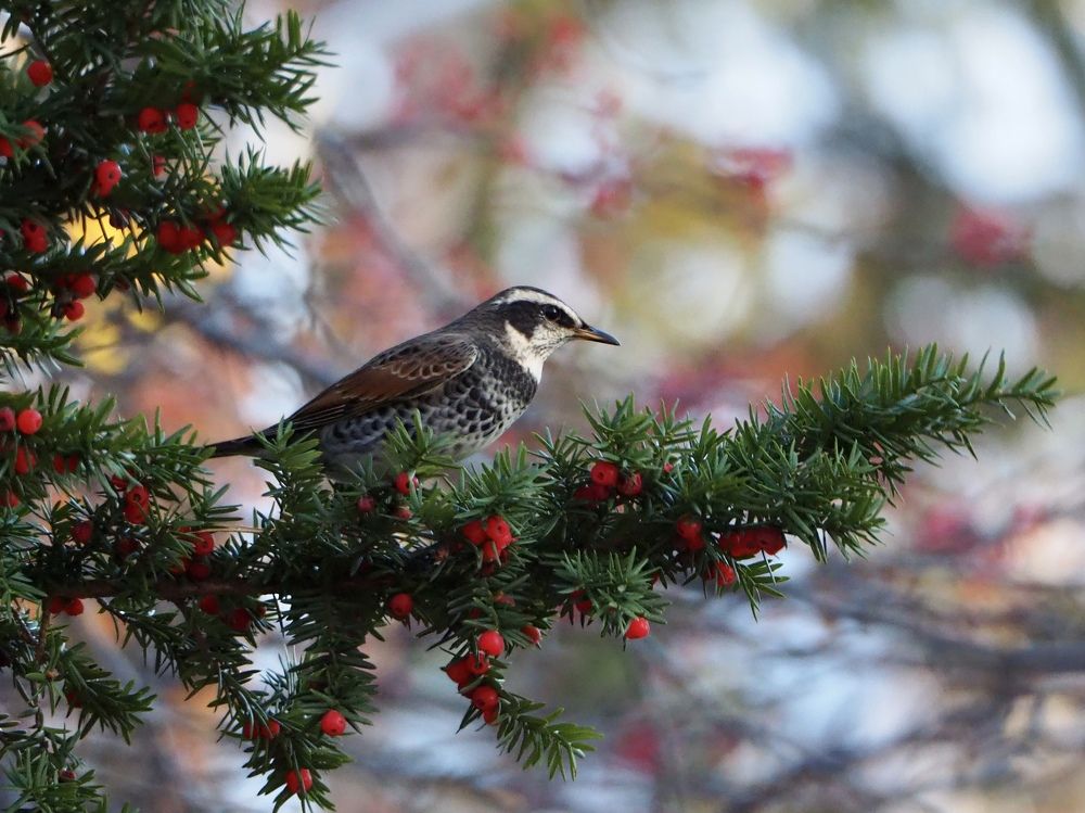 Photograph by Юлия Поршнева