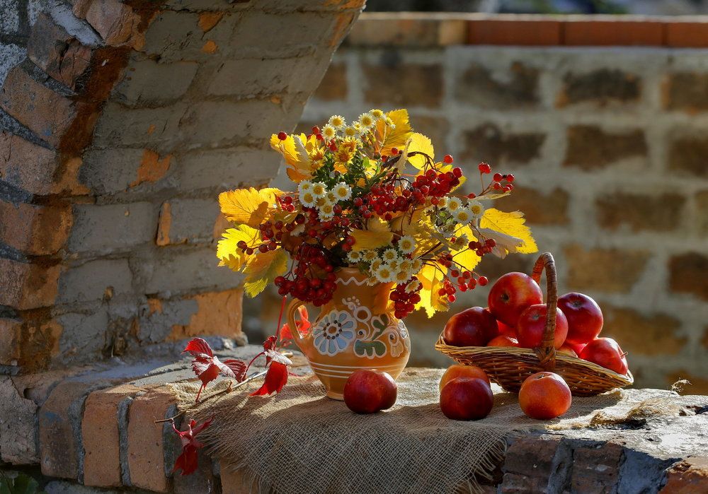 Фотография автора Нилла Шарафан