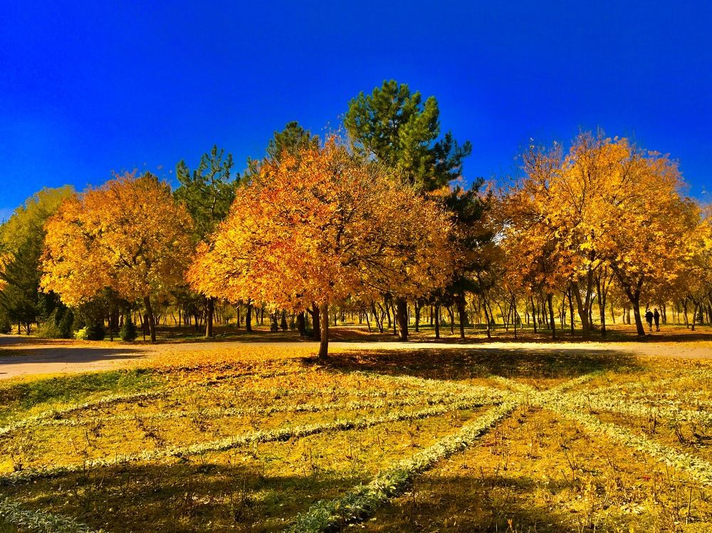 Photograph by Елена Ким