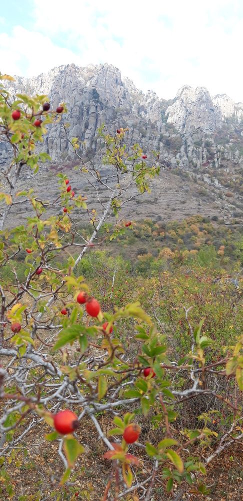 Photograph by Наталья Пусулиди