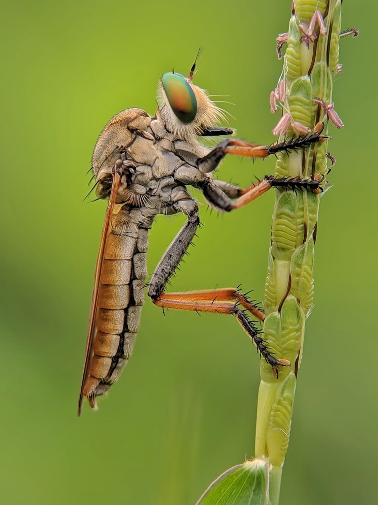 Photograph by Kazwini Win