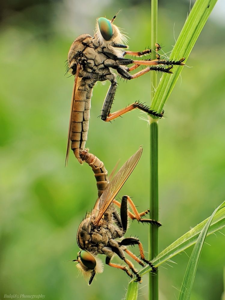 Photograph by Kazwini Win