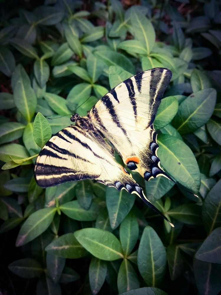 Photograph by Наталия Гнатова