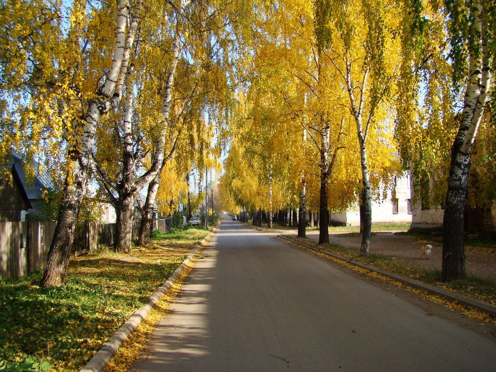 Photo #6670738