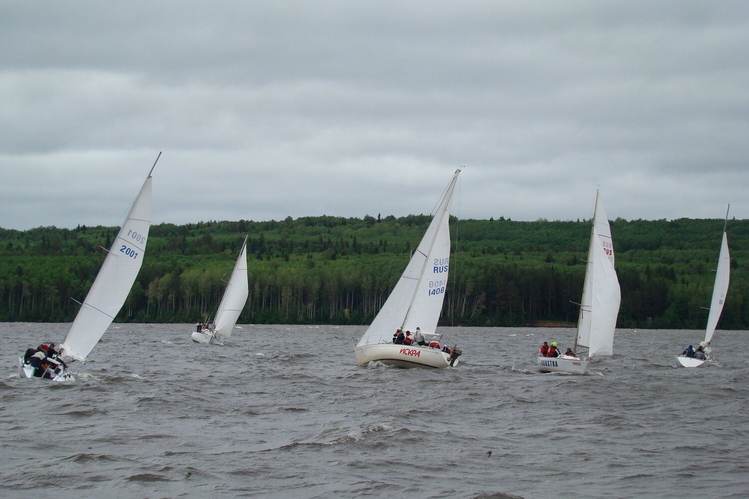 Photo #6670754