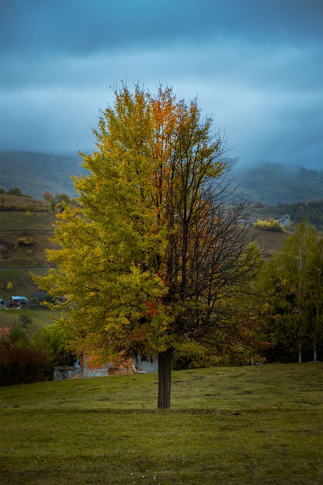 Photograph by Bozidar Zunjic