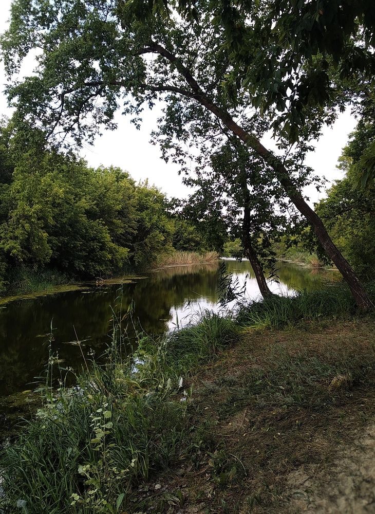 Photograph by Людмила М