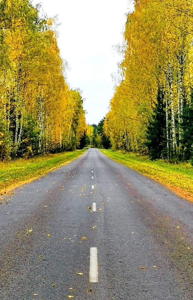 Дорога в Октябрь