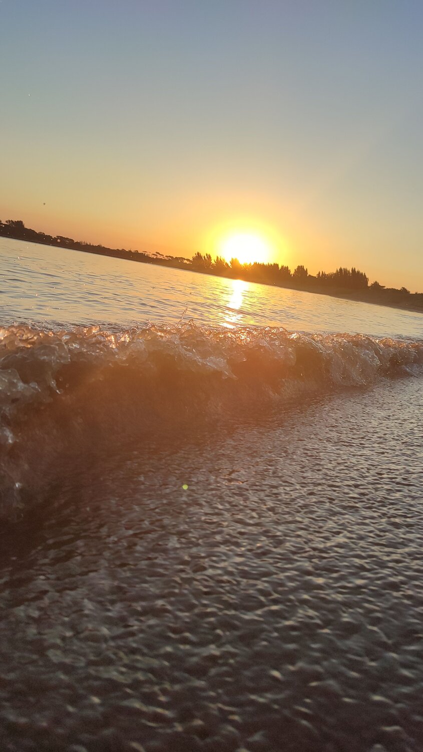 Photo #6670972