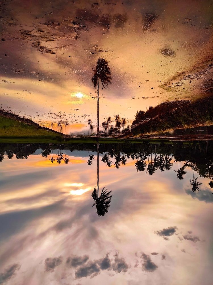 Photograph by James Basil