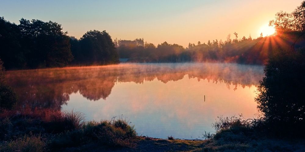 Photograph by Jan Musil