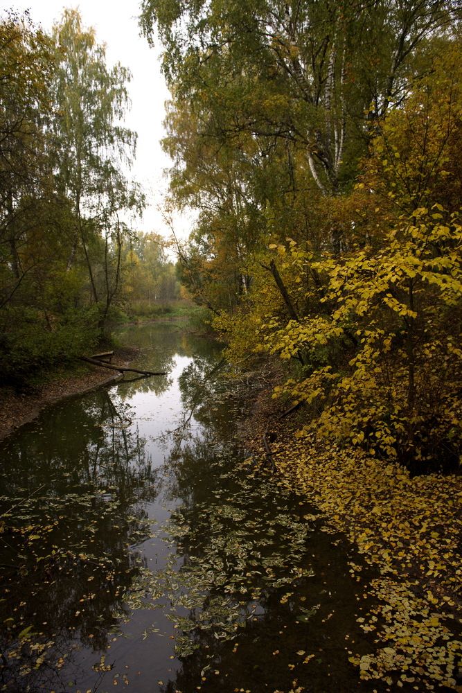 Photograph by Александр Кращук