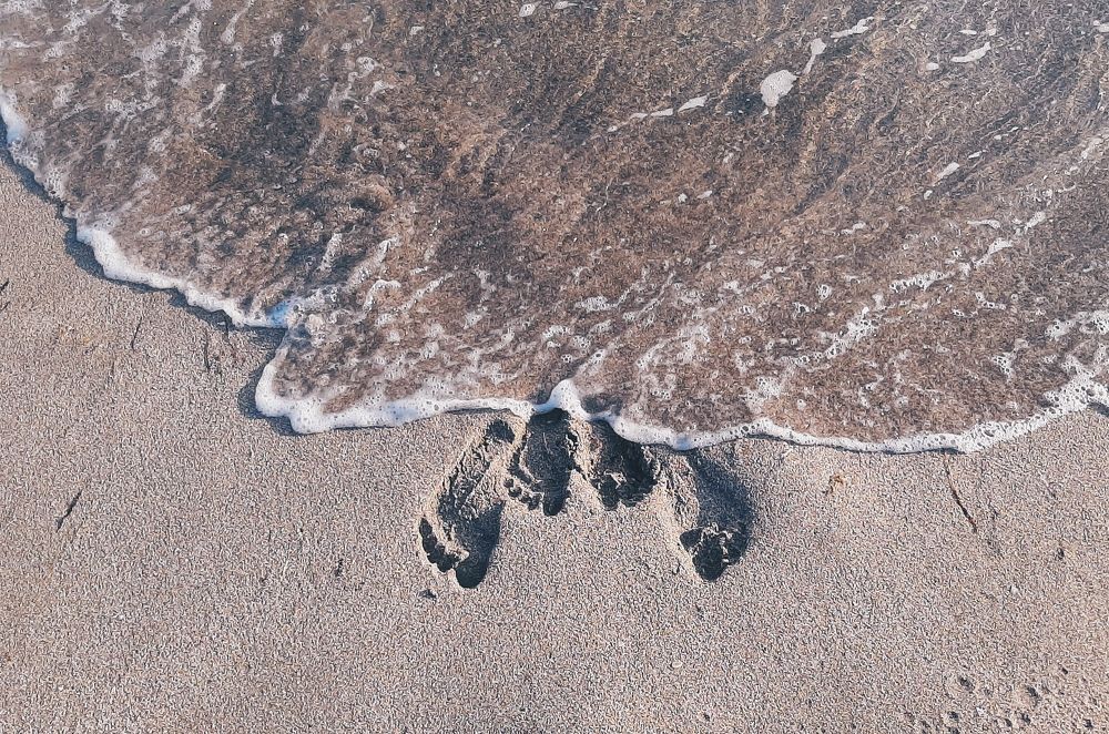 Photograph by Екатерина Титова