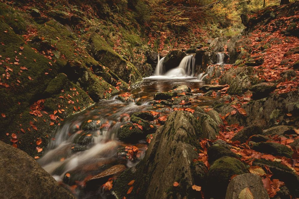 Photograph by Jan Musil