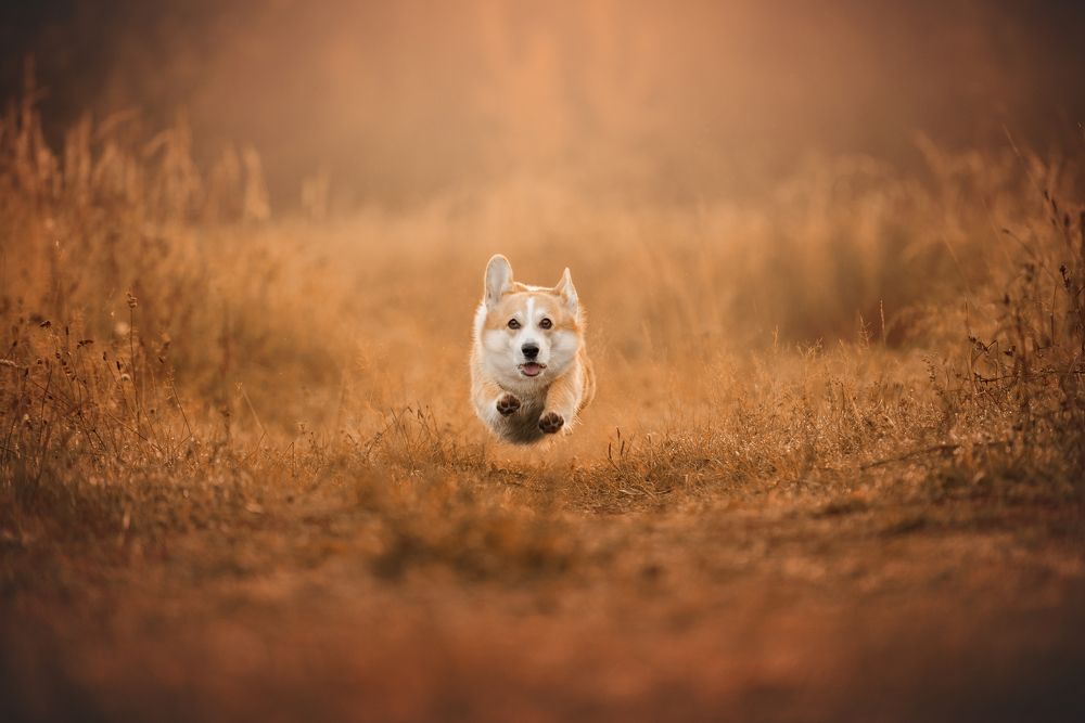 Photograph by Мария Калинина