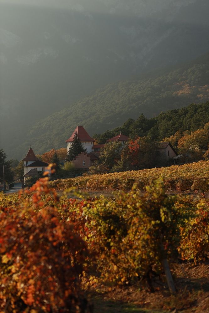 Photograph by Павел Дженбаз