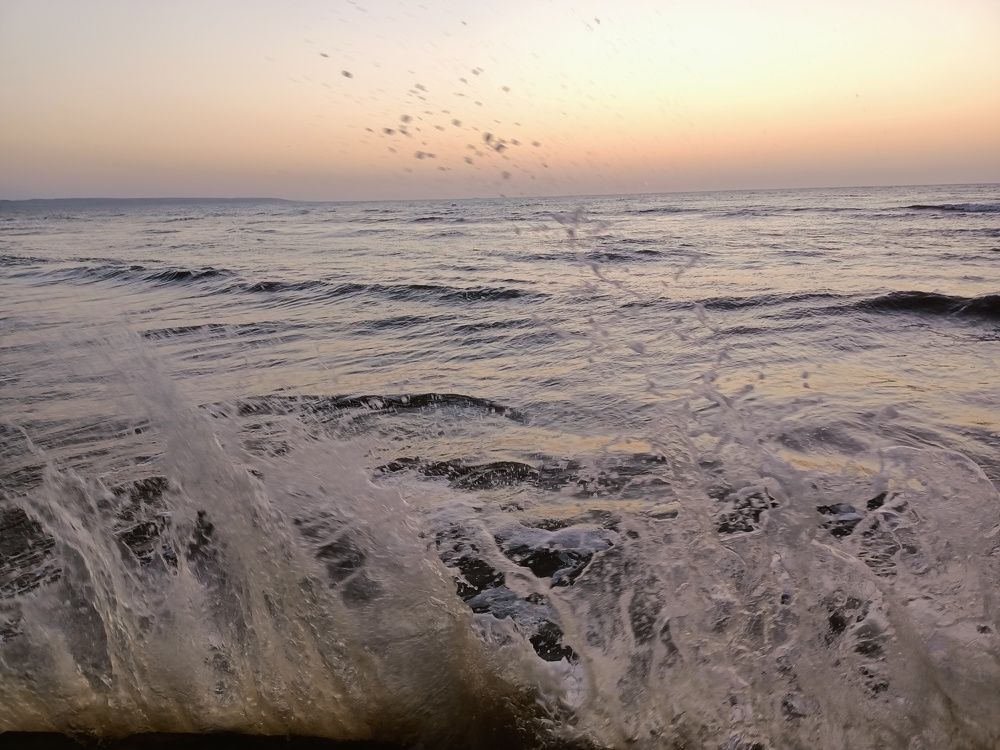 Photo #6671061