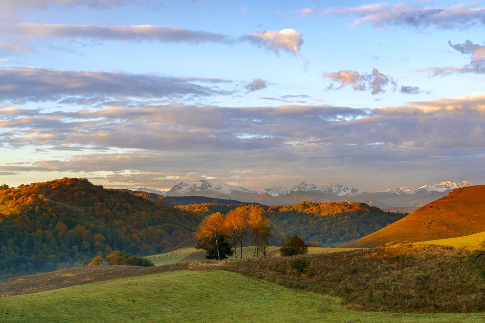 Photograph by Юлия Шумляева